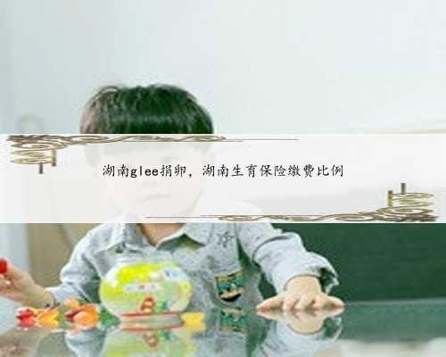 广州助孕生殖机构,让您升级为幸福的家庭